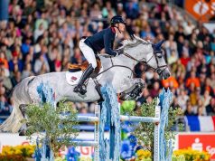 One man, two mares: NZ Jumping Breeder of the Year 2026